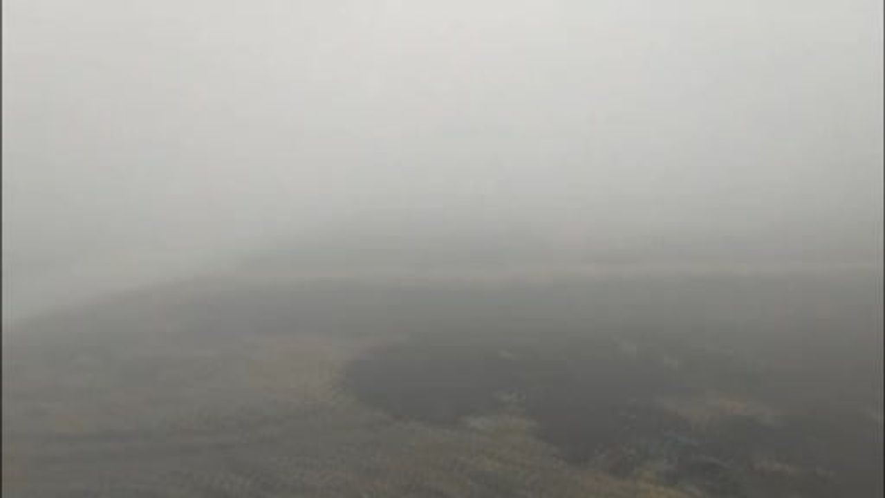 Şanlıurfa'da Sis ve Yağış Ulaşımı Etkiliyor: Görüş Mesafesi Yer Yer 20 Metreye Düştü