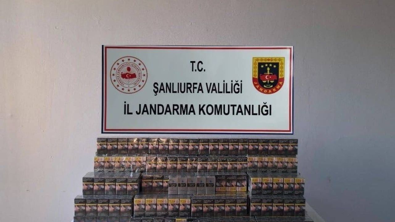 Şanlıurfa Viranşehir'de jandarma operasyonunda 6 bin 820 paket gümrük kaçağı sigara ele geçirildi