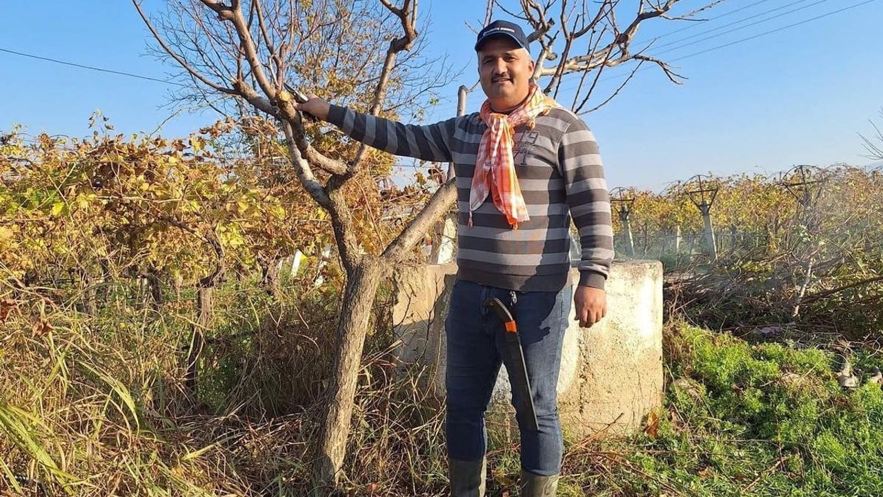 Sarıgöl'de çiftçiler kışın bağ ve meyve bahçesi bakımını sürdürüyor