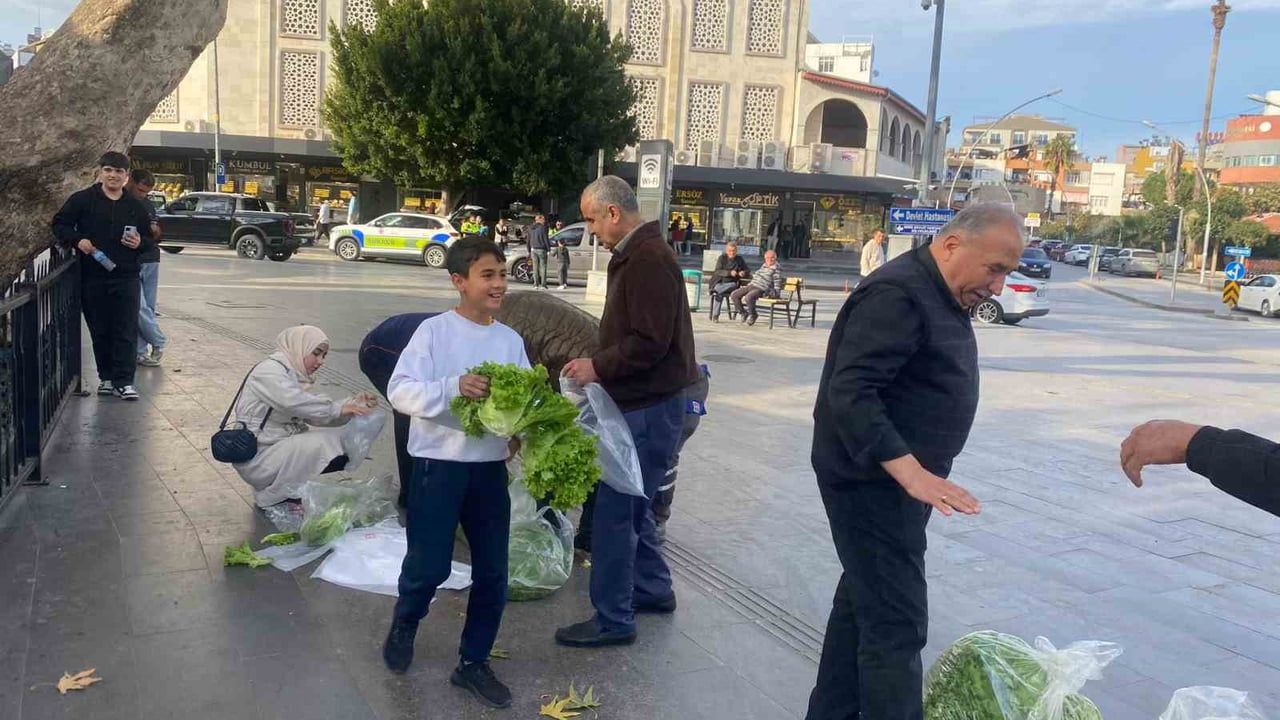 Serik'te çiftçi, çöpe gidecek 200 marulu ücretsiz dağıttı