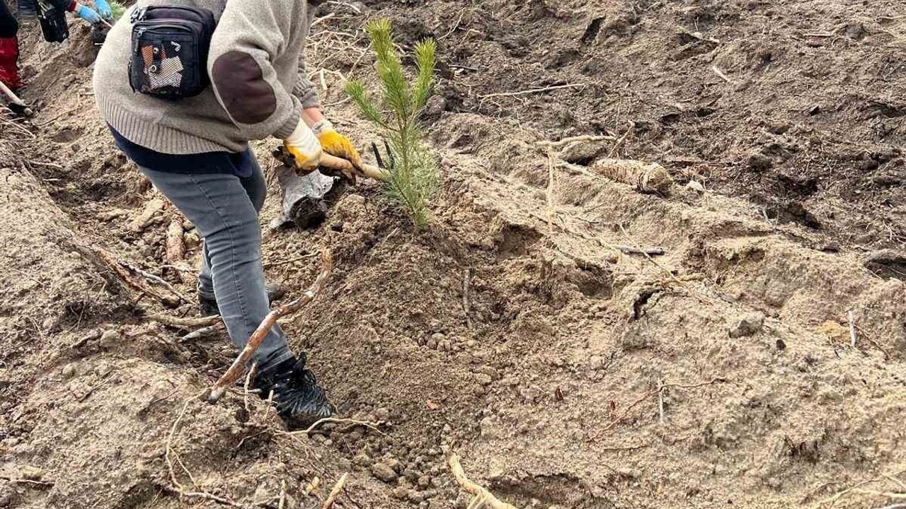 Seyitgazi'de Zodyak Doğa Yürüyüşü Ekibi 450 fidan dikti
