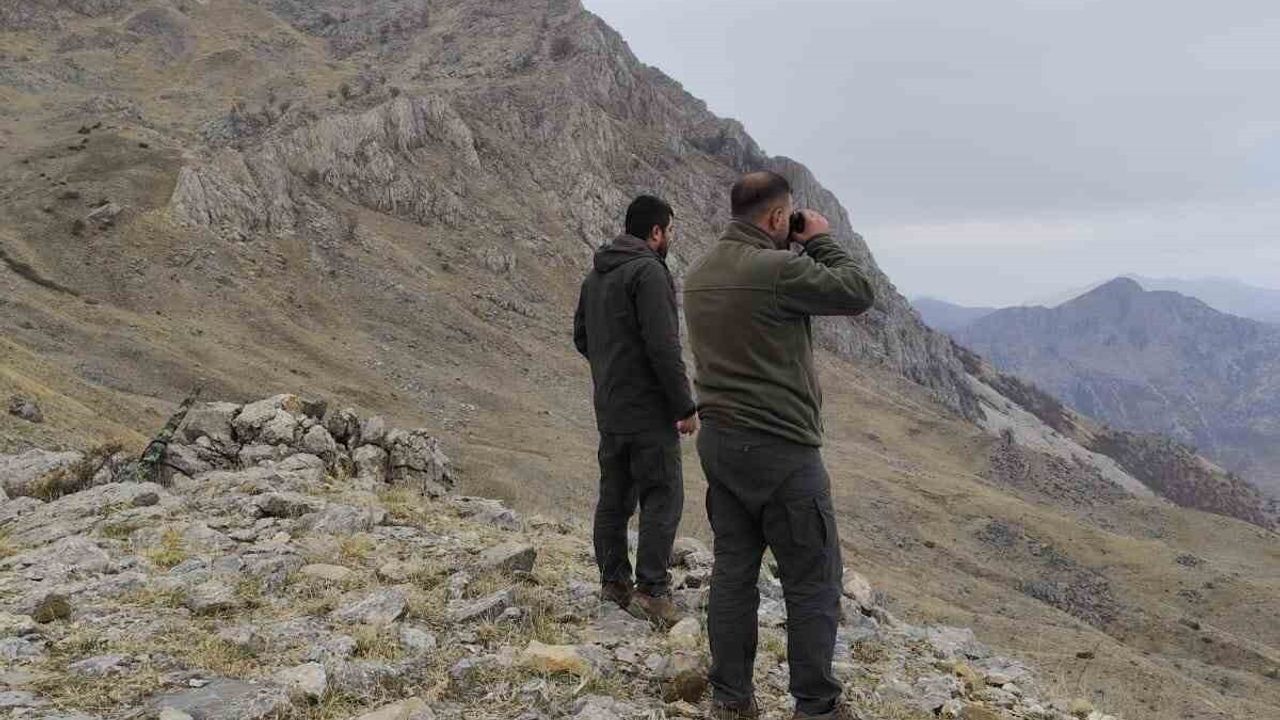 Siirt'te ava kapalı alanda takozsuz av tüfeğiyle avlanan kişiye 15 bin 383 lira ceza