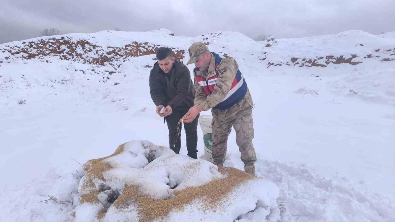 Siirt’te karla mücadele kapsamında yaban hayvanlarına 750 kilo besi yemi bırakıldı