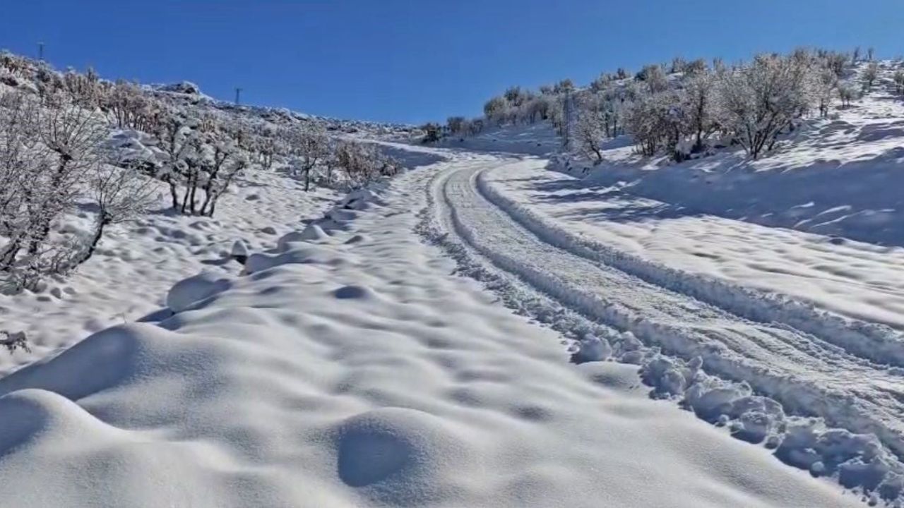 Siirt'te okullar 29 Aralık öğleden sonra yarım gün tatil edildi