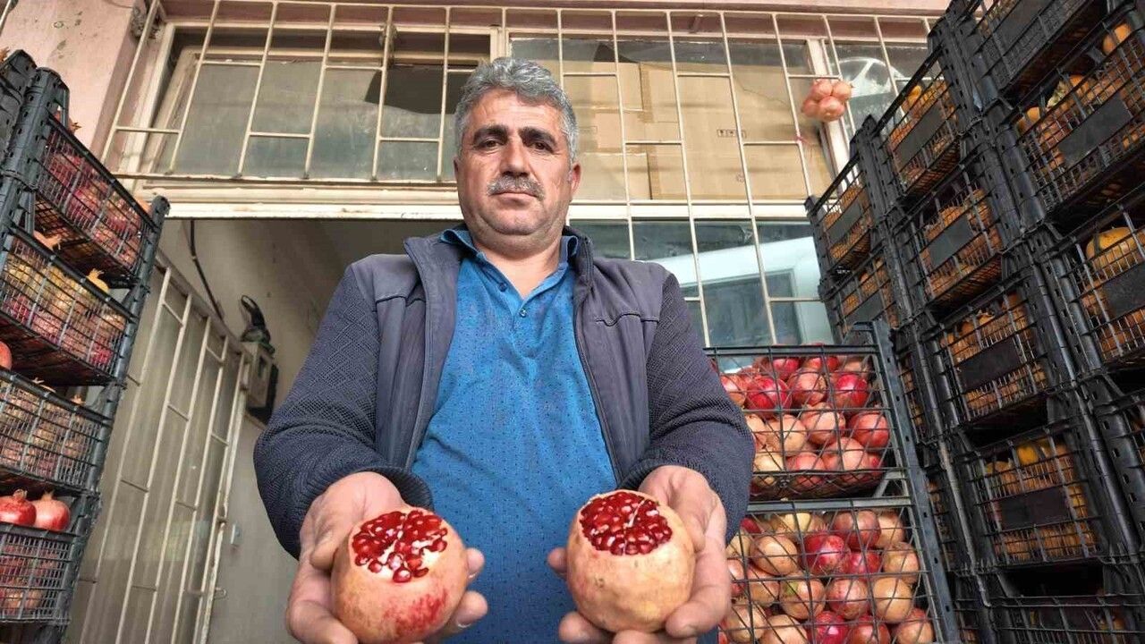 Siirt’te Zivzik narında kuraklık verimi düşürdü, üretim ve fiyatlarda değişim