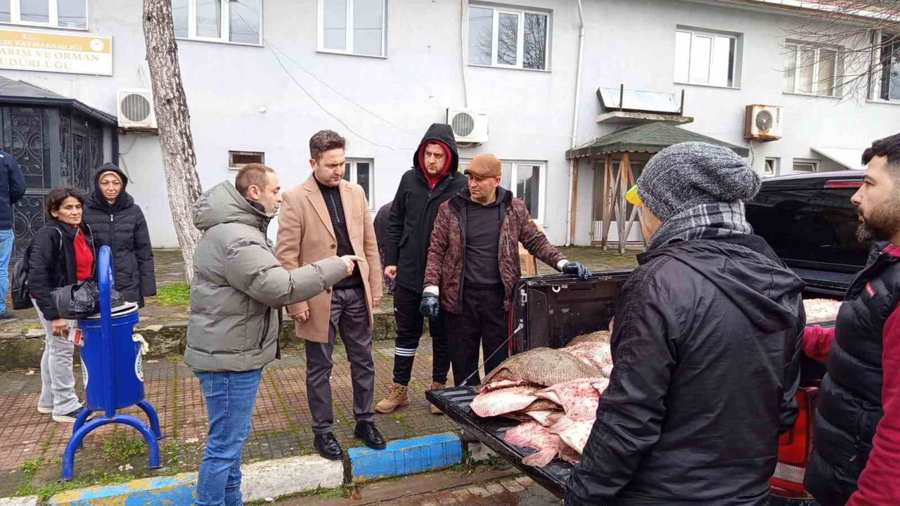 Sinop Ayancık'ta Yasa Dışı Avlanan 625 Kalkan Balığı İhtiyaç Sahiplerine Ücretsiz Dağıtıldı