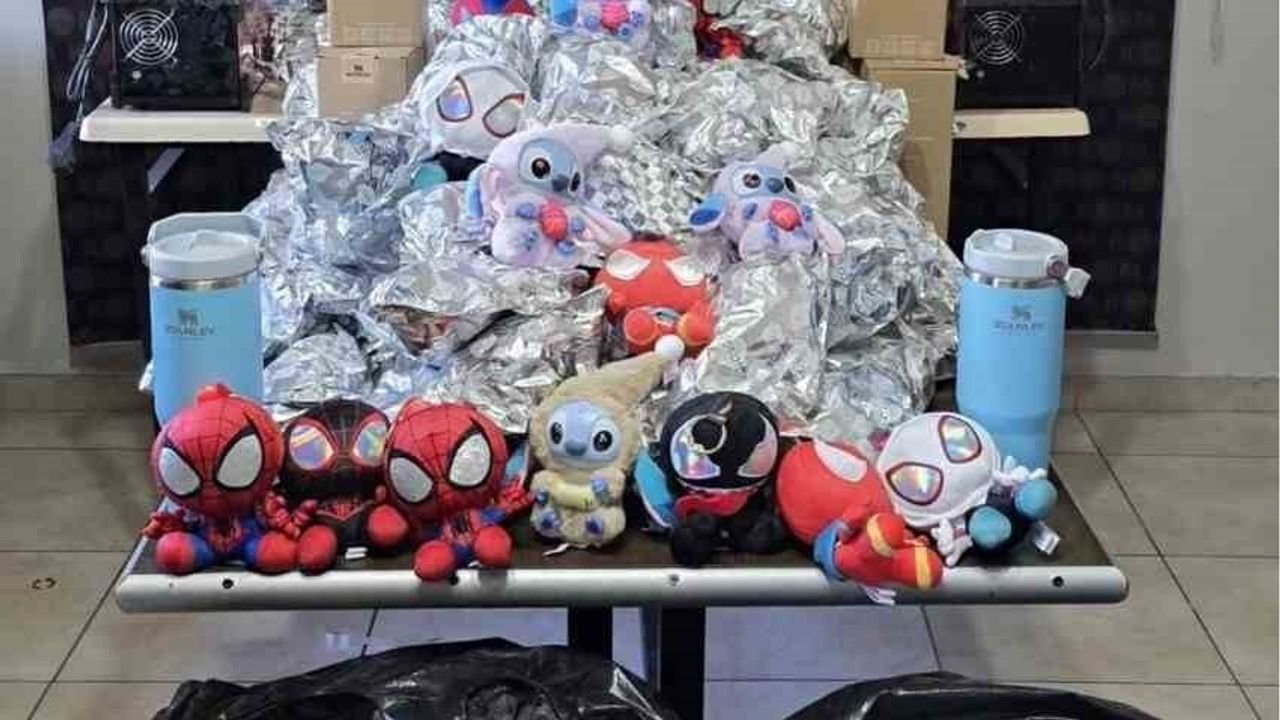 Şırnak'ta Jandarma 10 milyon 887 bin 350 lira değerinde gümrük kaçağı malzeme ele geçirdi