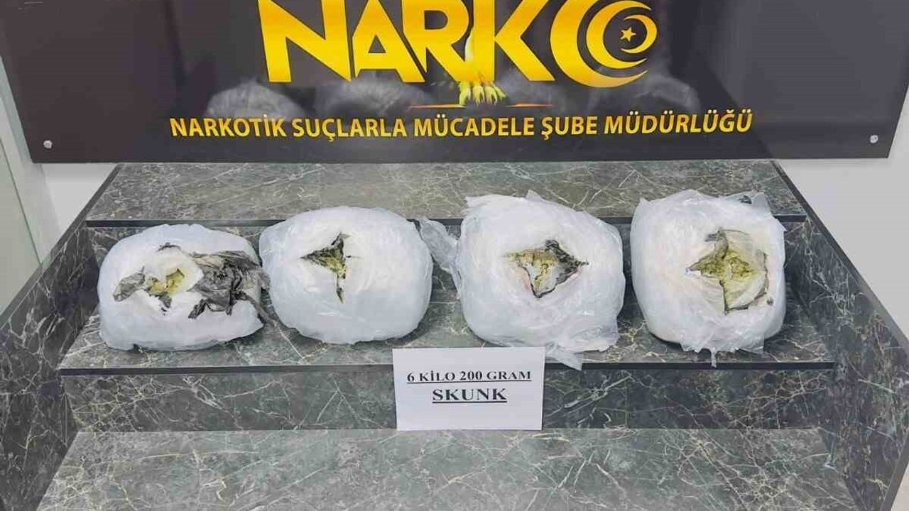 Şırnak'ta narkotik operasyonu: 6 kilo 200 gram skunk ele geçirildi, 2 şüpheli gözaltında