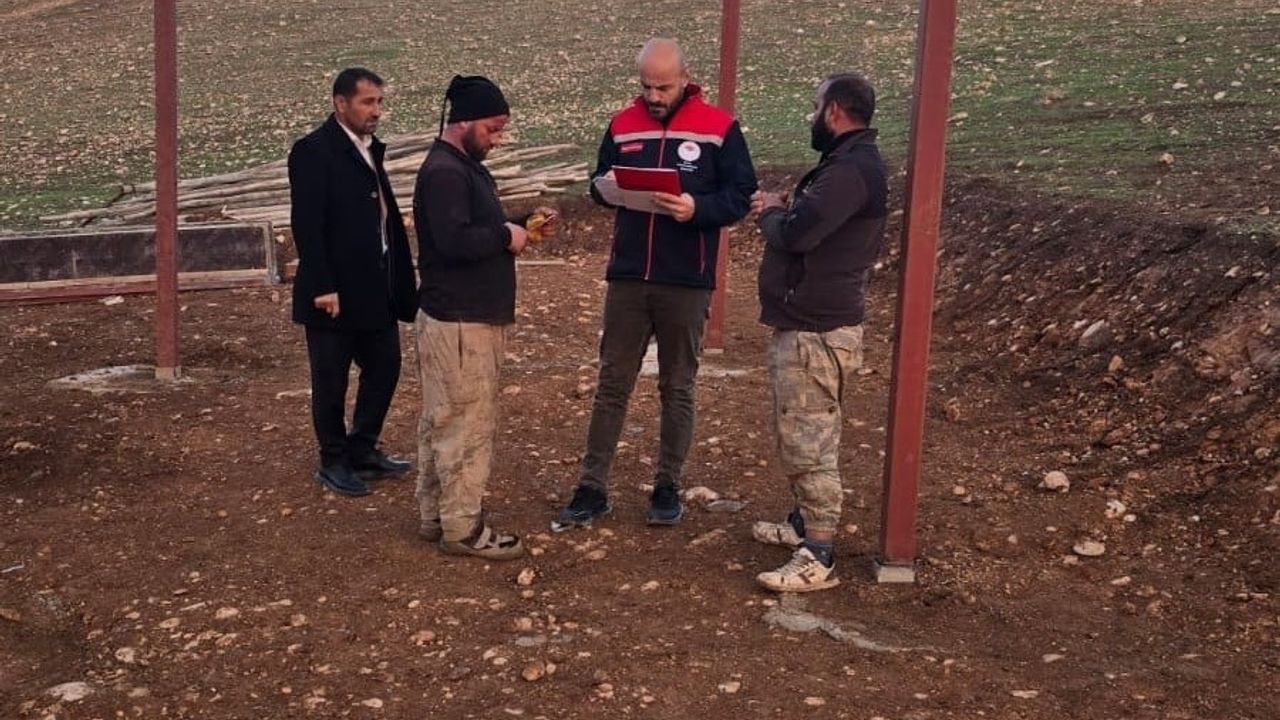 Şırnak’ta sürdürülebilir tarım hamlesi: Çardaklı meralarında mera ıslah çalışmaları sürüyor