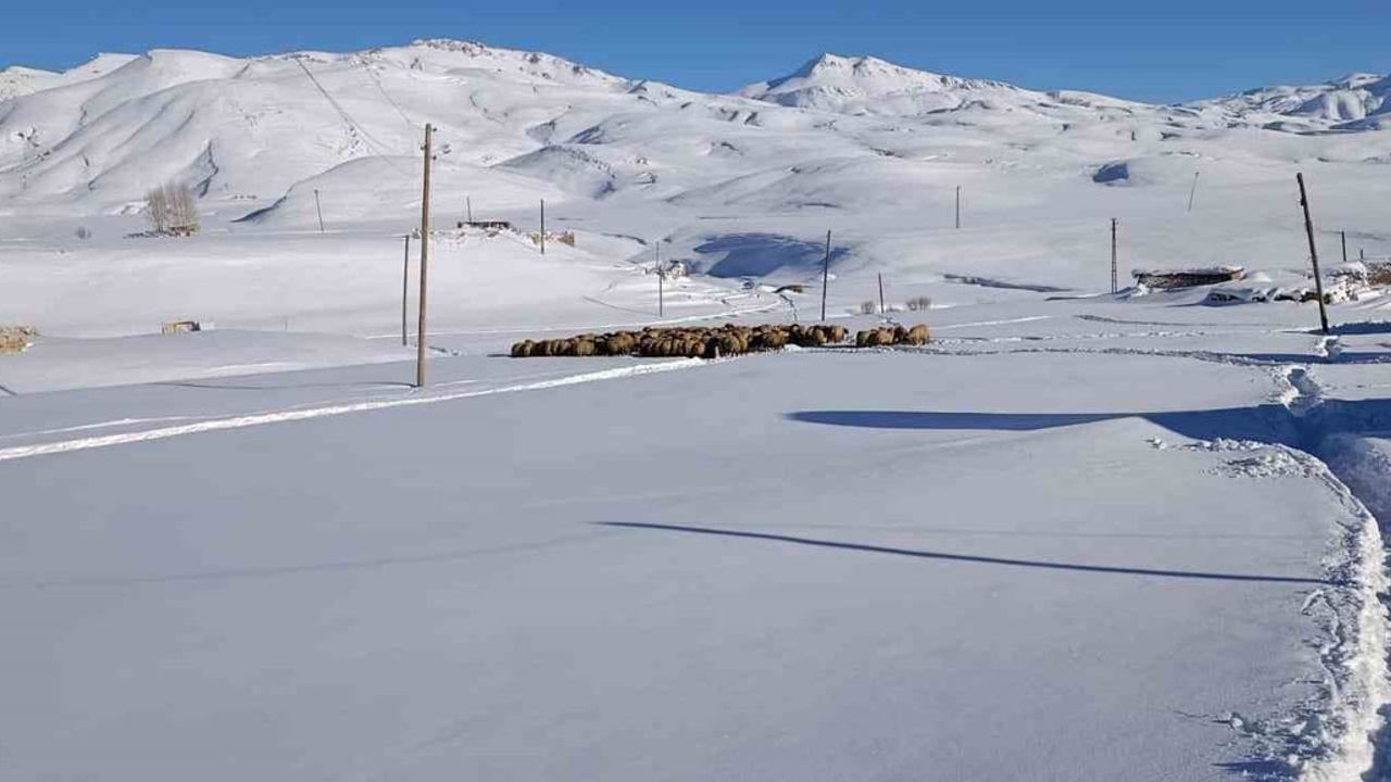 Şırnak'ta Yacan Ailesi, Koyunları İçin Faraşin Yaylasında 5 Ay Boyunca Kalıyor
