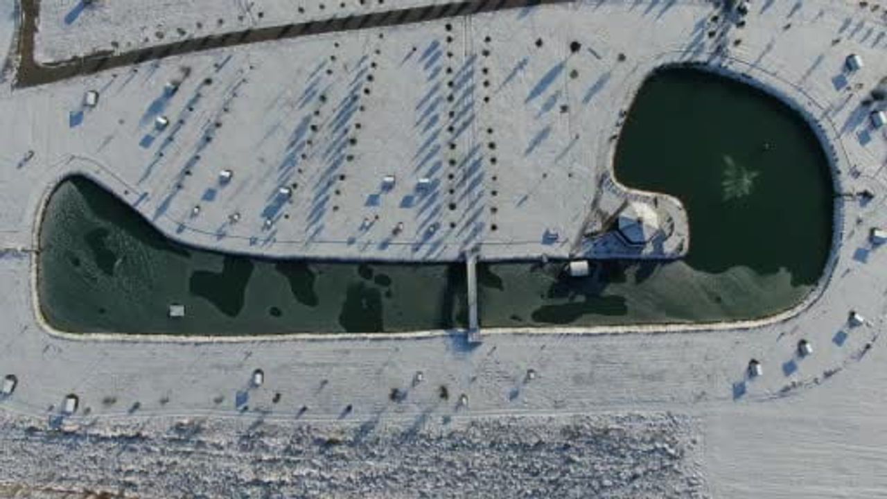 Sivas'ta dondurucu soğuk: Hasbahçe göleti kısmen dondu, ördekler donmayan alanda yüzüyor