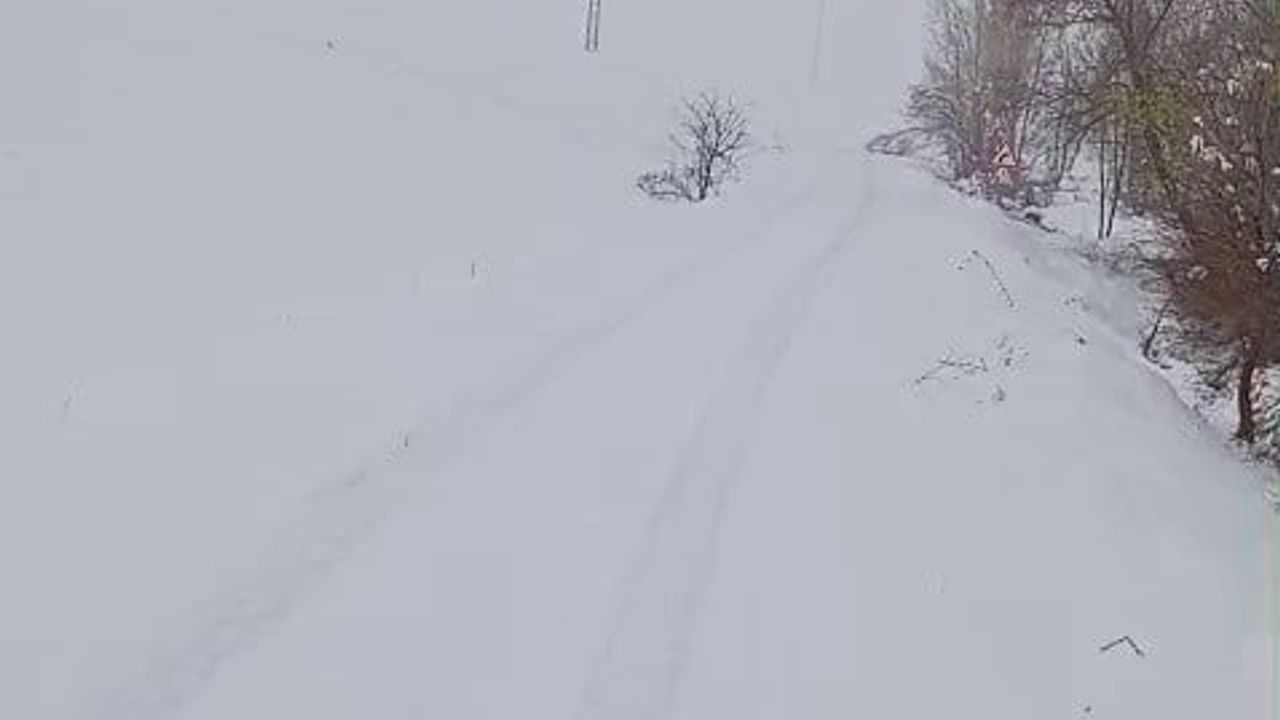 Sivas'ta yoğun kar nedeniyle 69 yerleşim yerinde araç ulaşımı aksadı