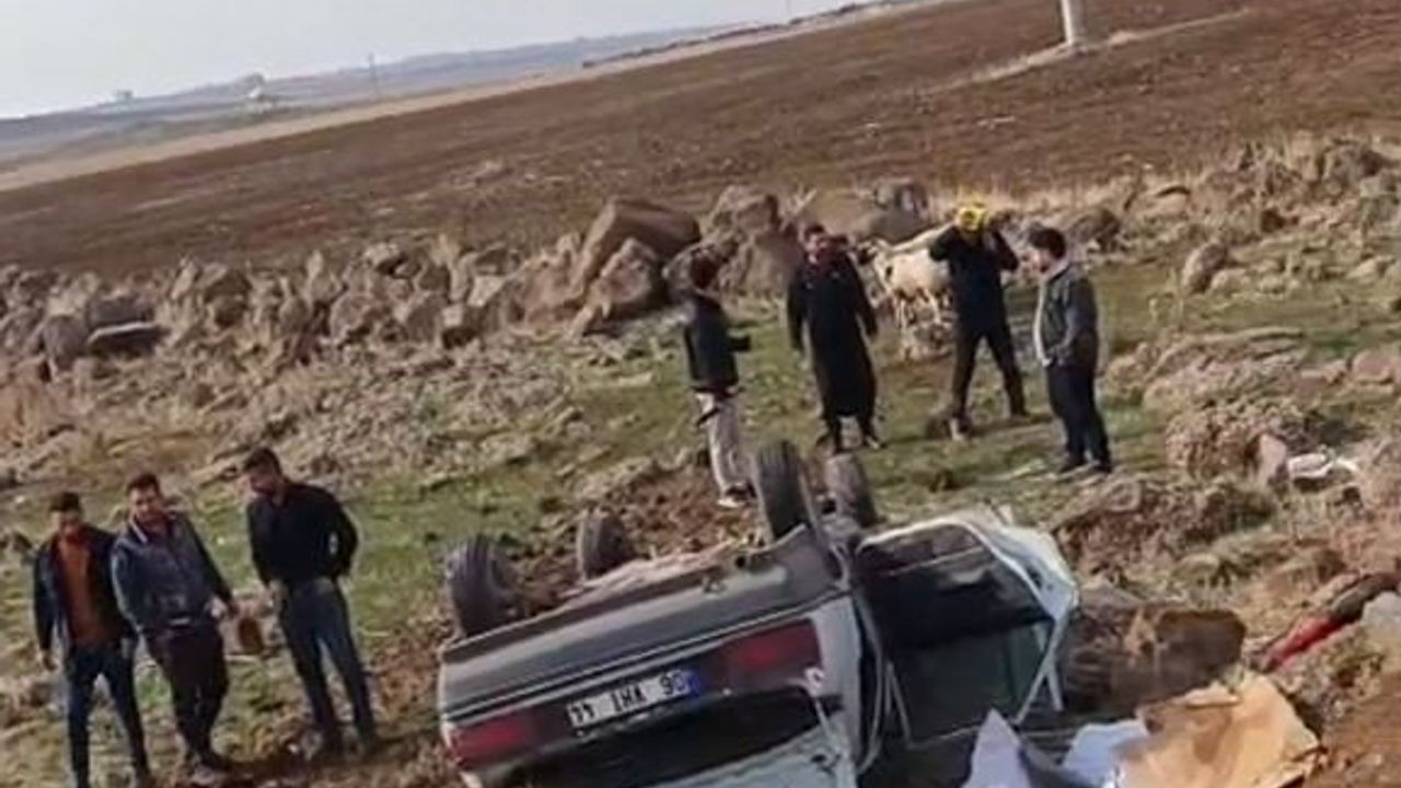 Siverek'te otomobil köprüden düştü; sürücü vatandaşlar tarafından kurtarıldı