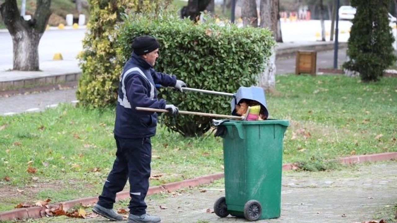 Söğüt’te Temizlik Çalışmaları Hızlandırıldı: Cadde ve Parklarda Kapsamlı Müdahale