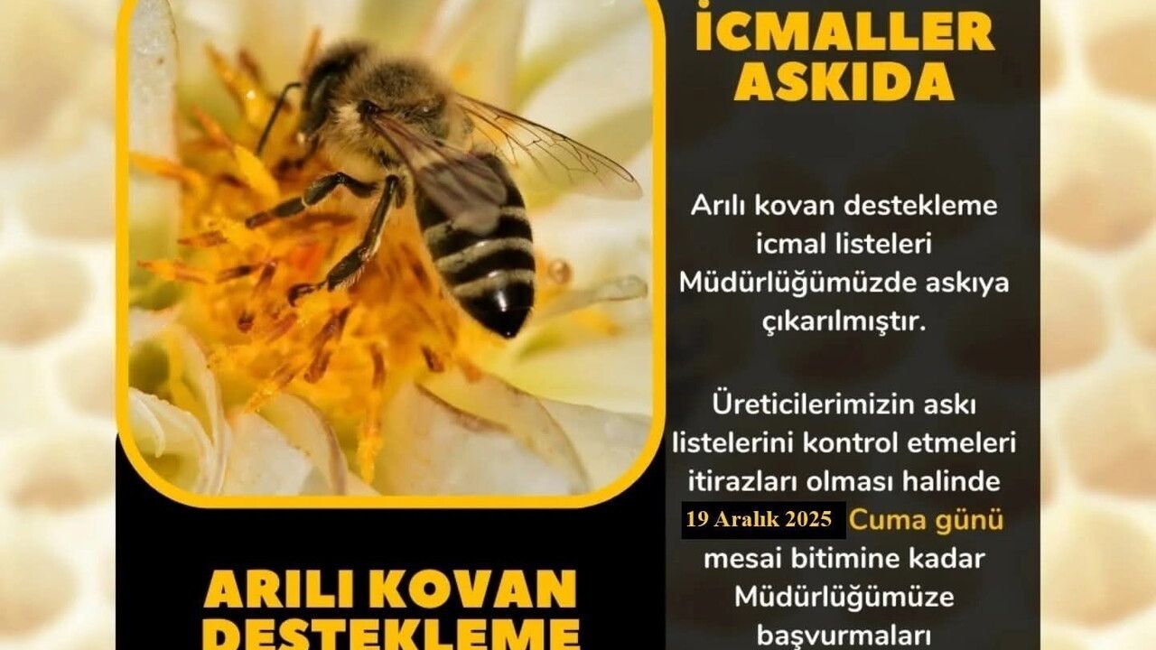 Söke'de arıcılara İcmal Listesi uyarısı: Eksik evraklar 19 Aralık 2025'e kadar tamamlanmalı