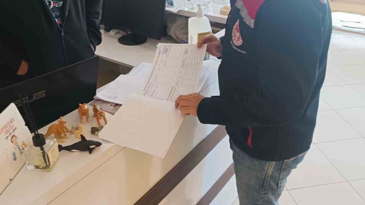 Söke'de Özel Veteriner Klinikleri Denetlendi: Ruhsat, Hijyen ve Kayıtlar İncelendi
