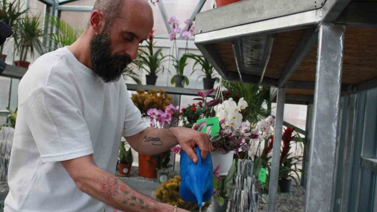 Sosyal medyanın 'Çiçek Doktoru' Ümit Ersan: Bitki sorunlarına hasta-doktor yaklaşımı