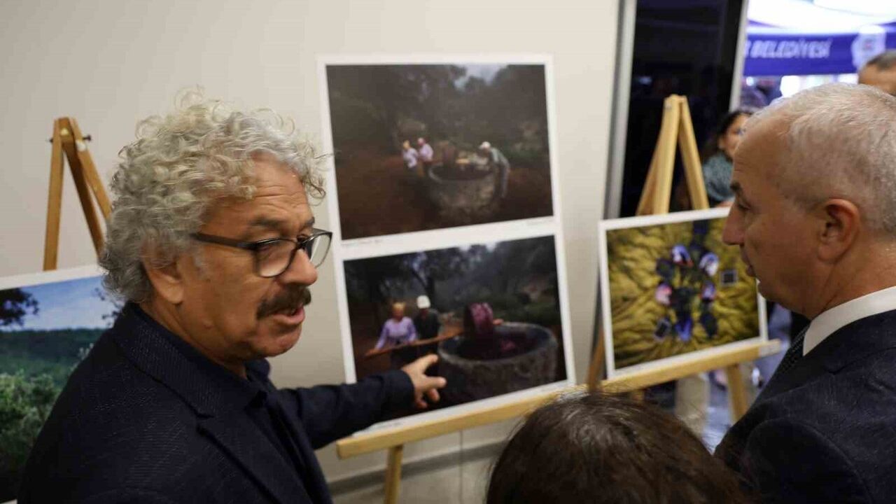 Stratonikeia'da İlk Zeytin Hasat Festivali Düzenlendi