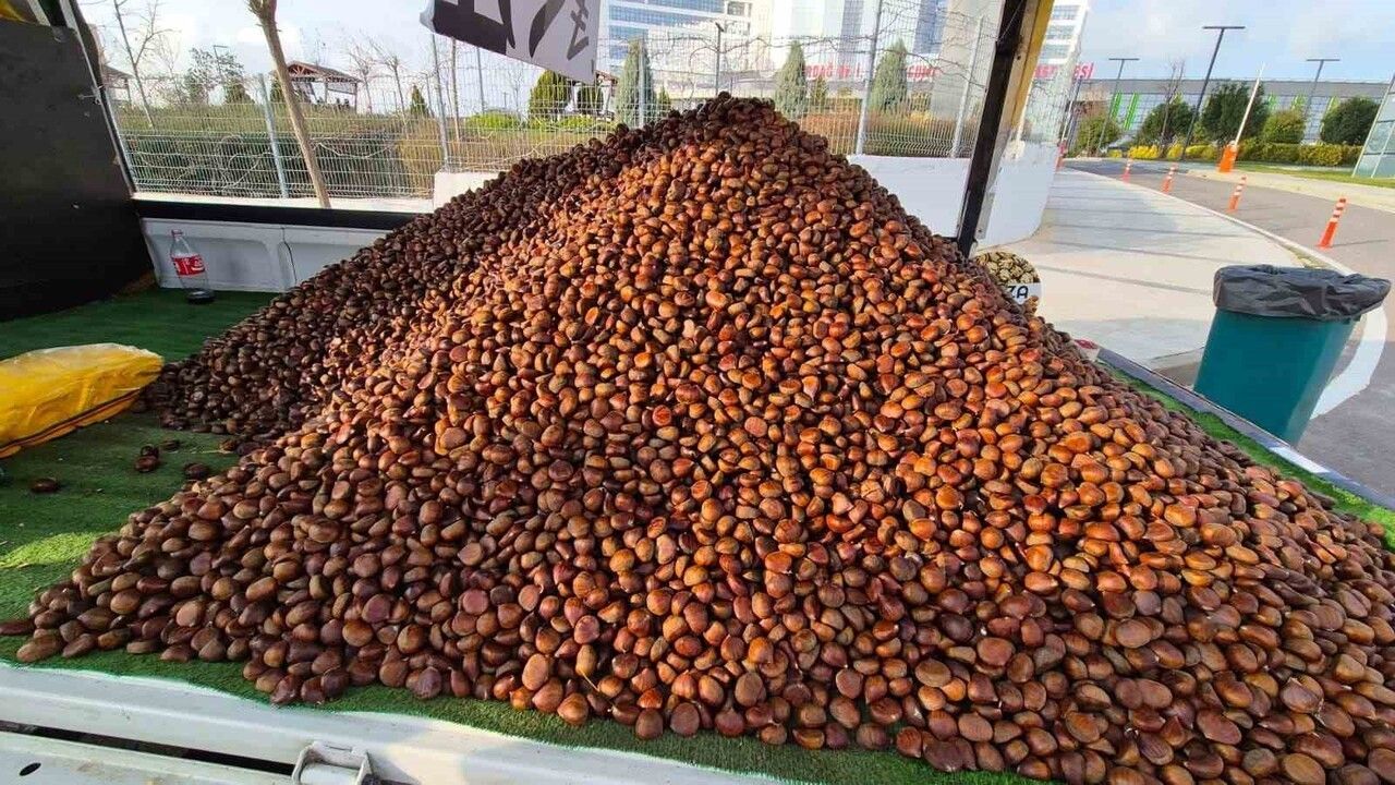 Süleymanpaşa'da kestane sezonu: Kilosu 175 lira, günlük satış 500-600 kilo