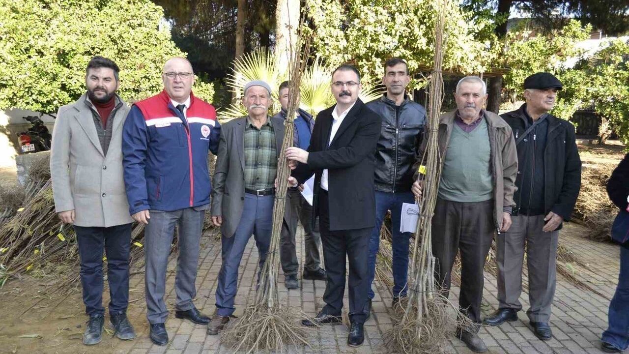 Sultanhisar'da üreticilere 9 bin 500 kestane ve incir fidesi dağıtıldı