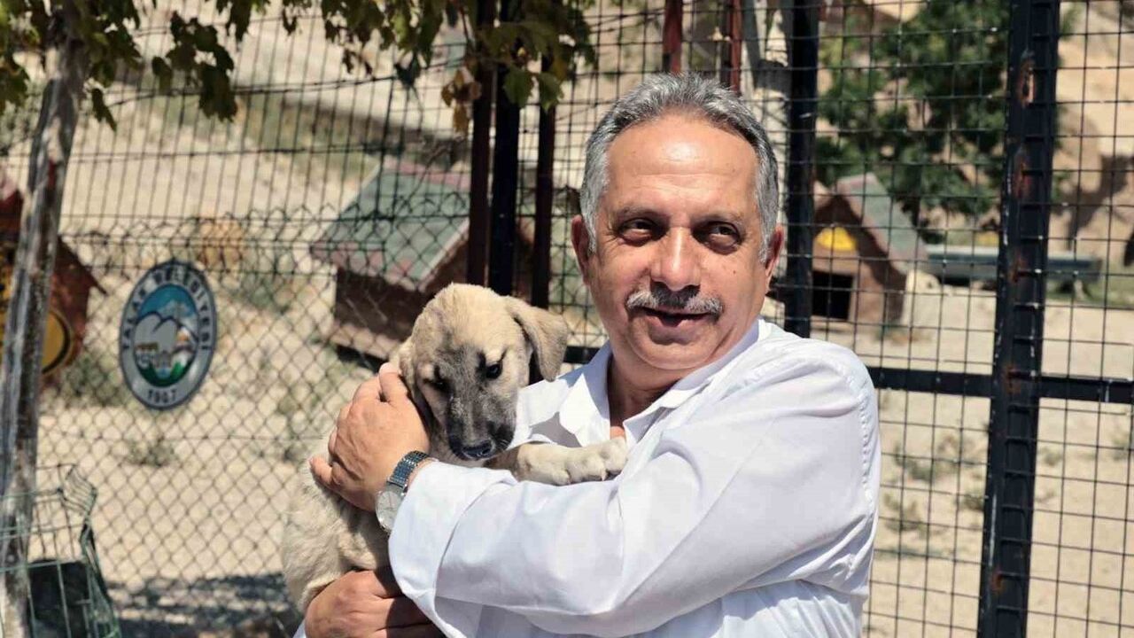 Talas Patievi Doğal Yaşam Alanı 500 hayvana ev sahipliği yapıyor