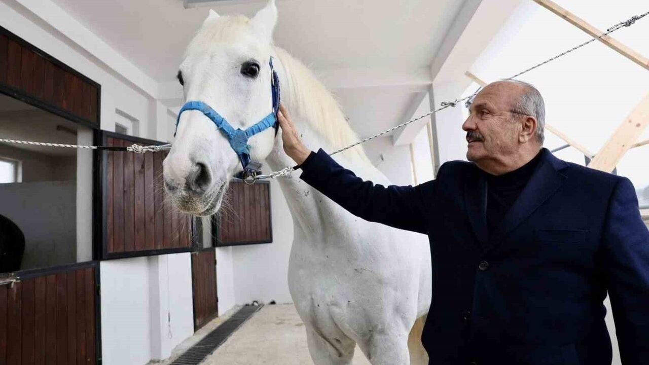 Taşköprü'ye Atlı Turizm Merkezi Kuruluyor: Başkan Arslan Daday'da İncelemelerde Bulundu