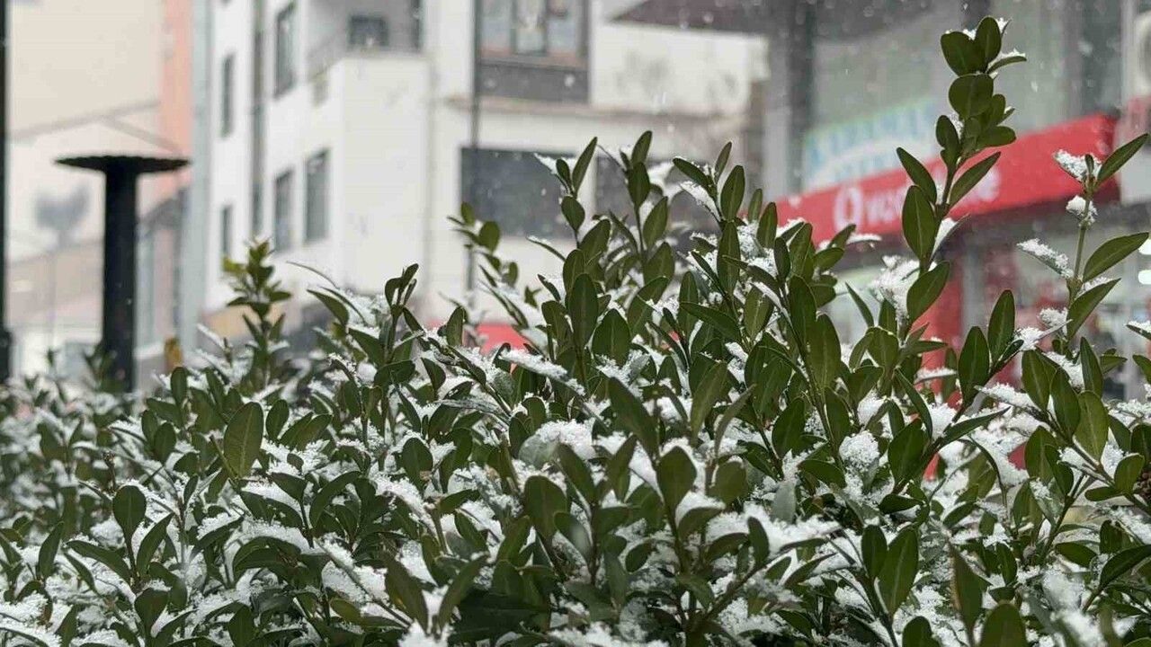 Tatvan'da etkili kar yağışı yaşamı olumsuz etkiledi
