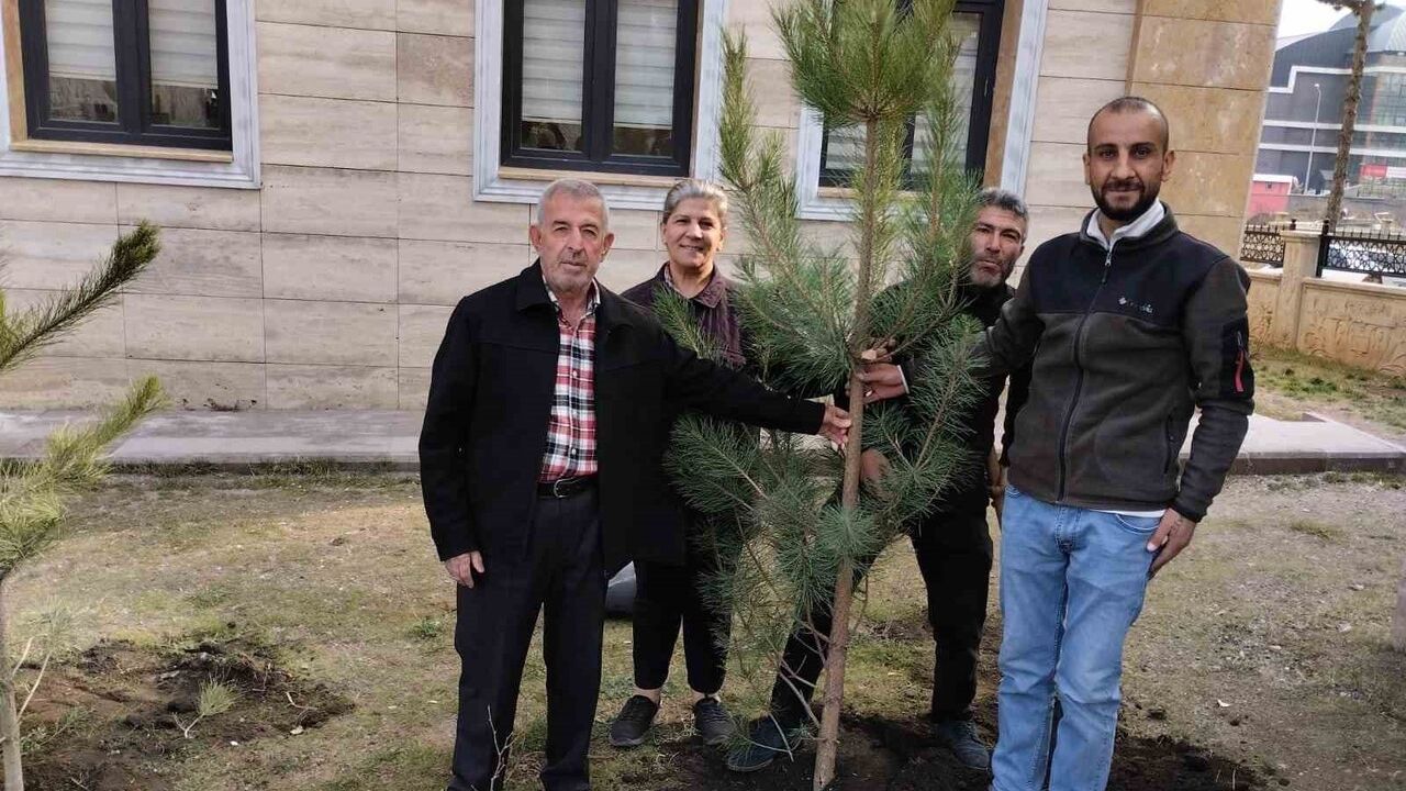Tatvan’da okul bahçeleri 'Yeşil Vatan – Benim Okulum Geleceğe Çare' projesiyle yeşilleniyor