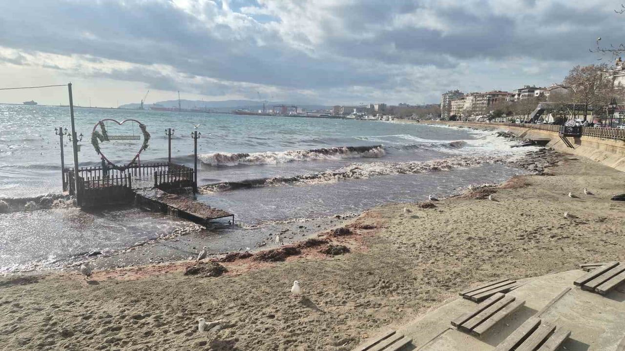 Tekirdağ'da kuvvetli lodos kıyıya kızıl yosun sürükledi, Süleymanpaşa sahili etkilendi