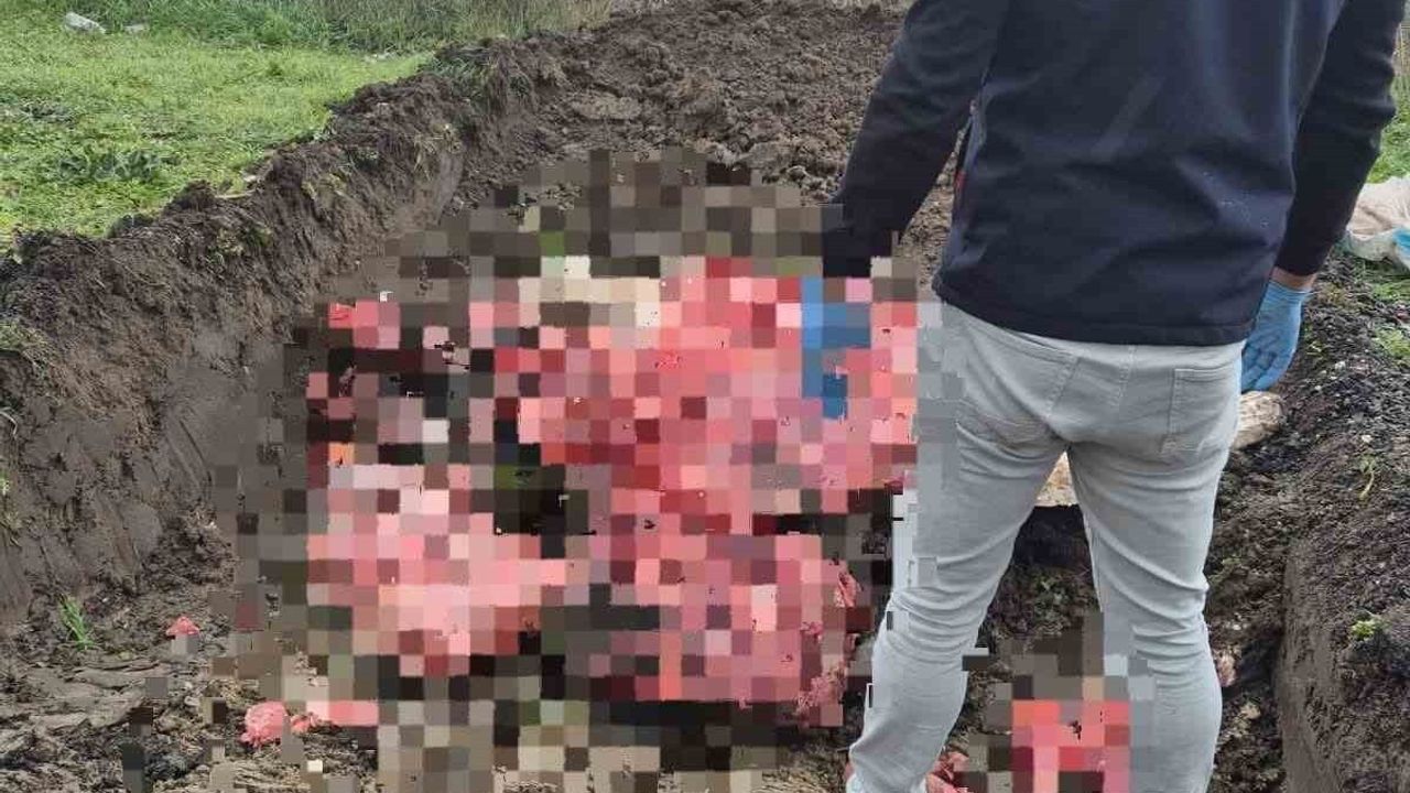 Tekirdağ Ergene'de 1 ton belgesiz ve menşei belirsiz hayvansal ürün imha edildi