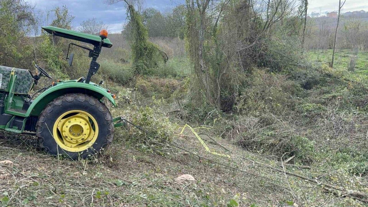 Tekkeköy'de ağaç kesimi sırasında yaşamını yitiren kişi: 55 yaşındaki Ömer Güroğlu