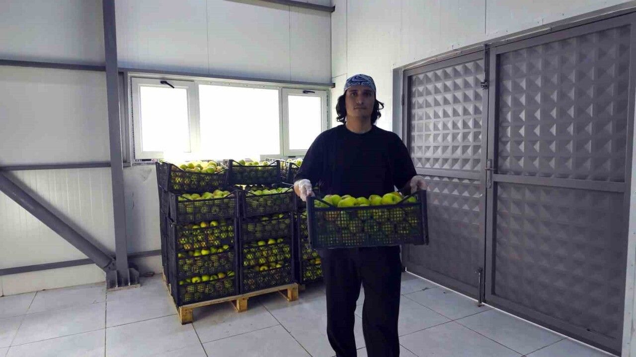 TOGÜ'nün güneş enerjili tarım ürünleri kurutma tesisi günlük 1 ton kapasiteyle üretime başladı