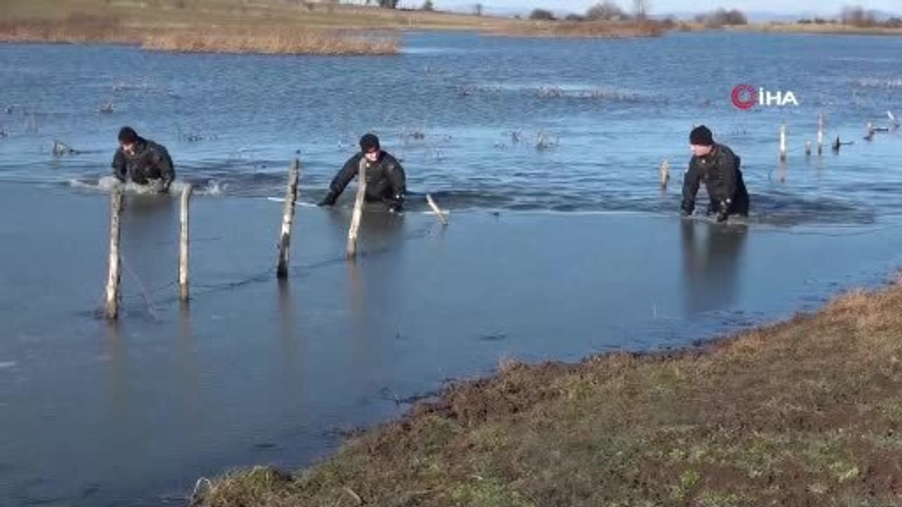 Tokat'ta 3 Yıldır Kayıp: 5 Çocuk Annesi Arife Gökçe'den Haber Yok