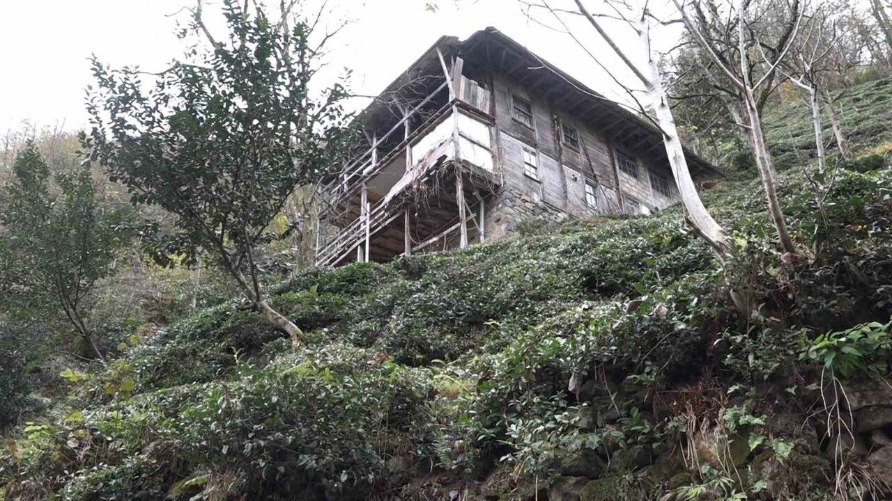 Trabzon Of'ta balkona tırmanan ayı arı kovanlarındaki balı kamerada görüntülendi