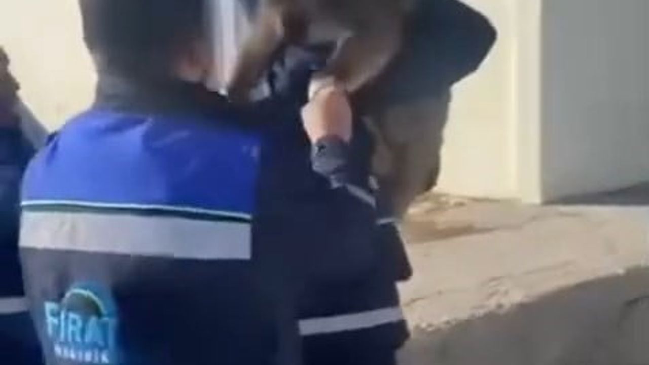 Tunceli'de Bahçe Çitine Sıkışan Yaban Keçisini Fırat EDAŞ Ekipleri Kurtardı