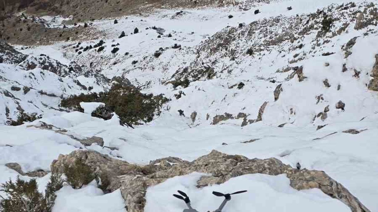 Tunceli'de kartal dronu yakaladı ve dağın zirvesine bıraktı