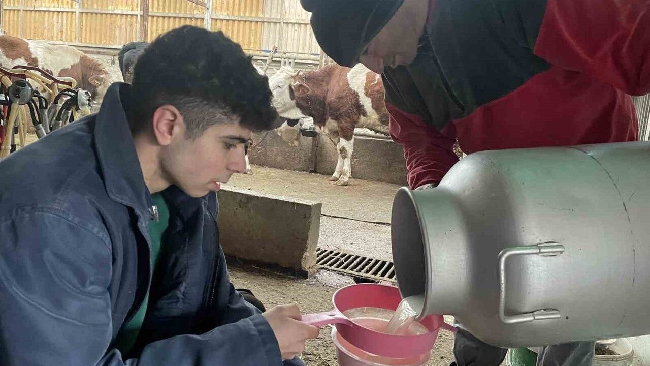 TÜSEDAD: Şapın Vurduğu Üreticiler İçin Çiğ Süt Fiyatlarında Güncelleme Talebi