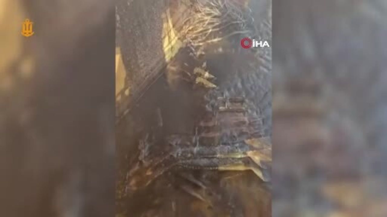 Ukrayna: Karadeniz'de Türkiye'ye Ait 'VIVA' Gemisine İHA Saldırısı İddiası