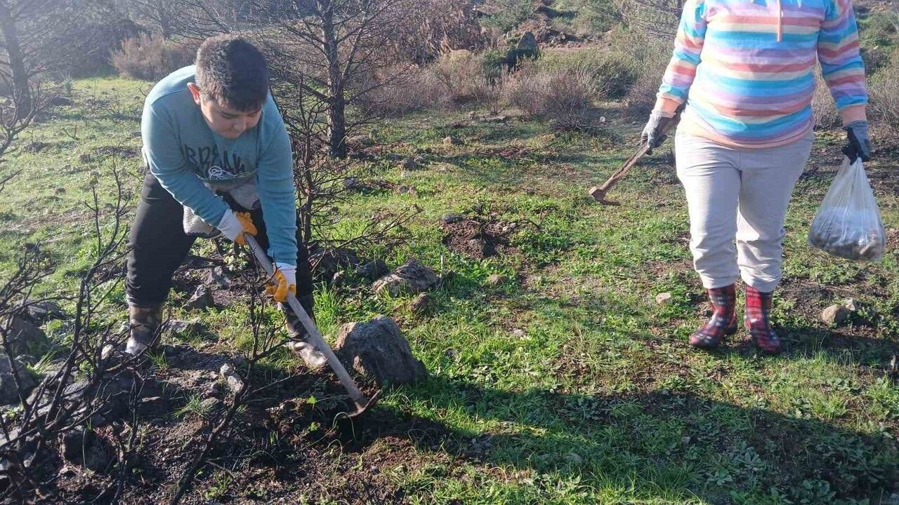 Urla Barbaros’ta yanan ormana umut: Yaklaşık 500 meşe palamudu toprakla buluştu