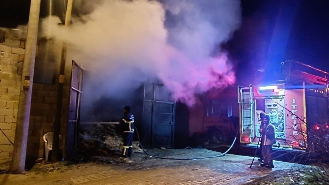 Uşak'ın Banaz ilçesinde samanlık yangını: 5 koyun telef oldu