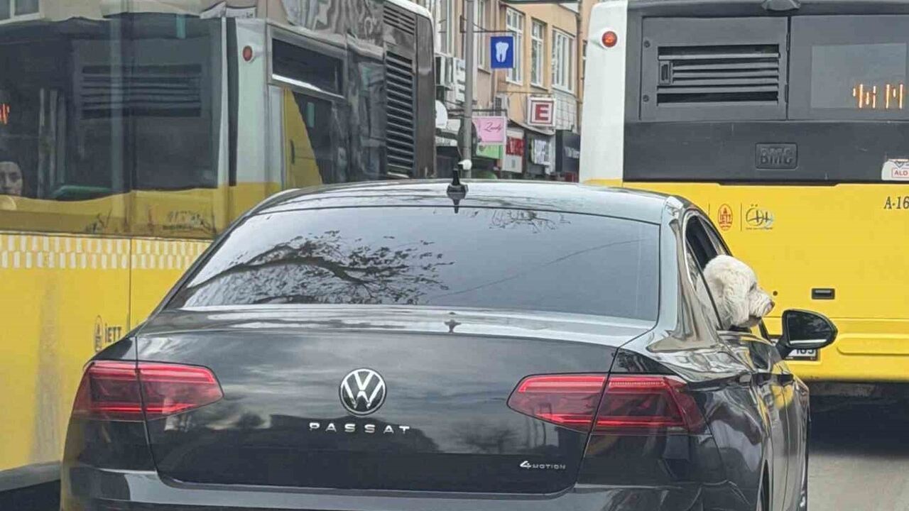 Üsküdar’da Hilmi Türkmen: Makam aracı Passat, belediye başkanının köpeğine tahsis edildiği iddiası