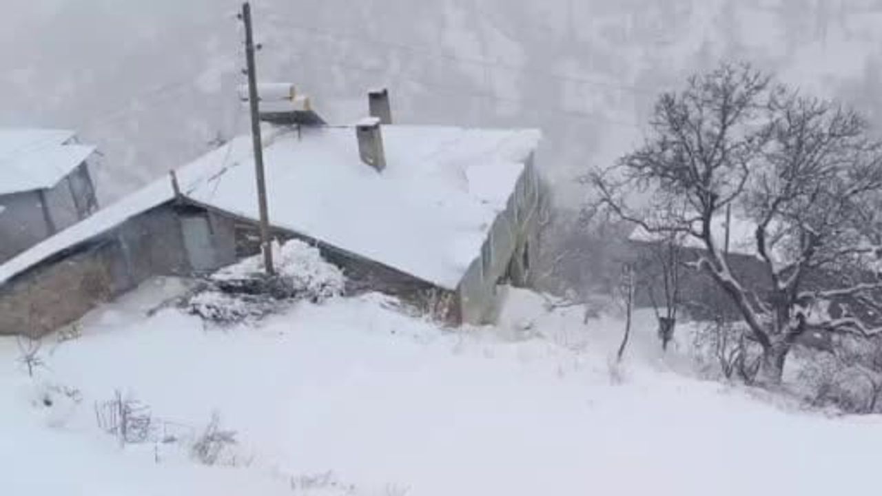 Van'da kar nedeniyle 206 yerleşim yerinin yolu kapandı; Bahçesaray yolu ulaşıma kapatıldı