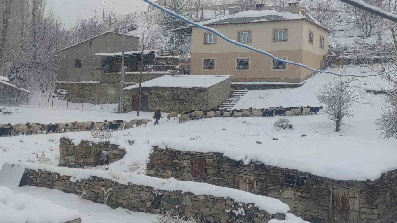 Van'da kar yağışı ulaşıma etki etti: 17 yerleşim yerinin yolu kapandı