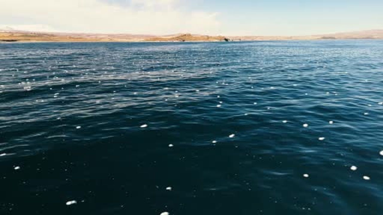 Van Gölü'nde rüzgâr etkisiyle oluşan köpüklenme Tatvan açıklarında görüntülendi