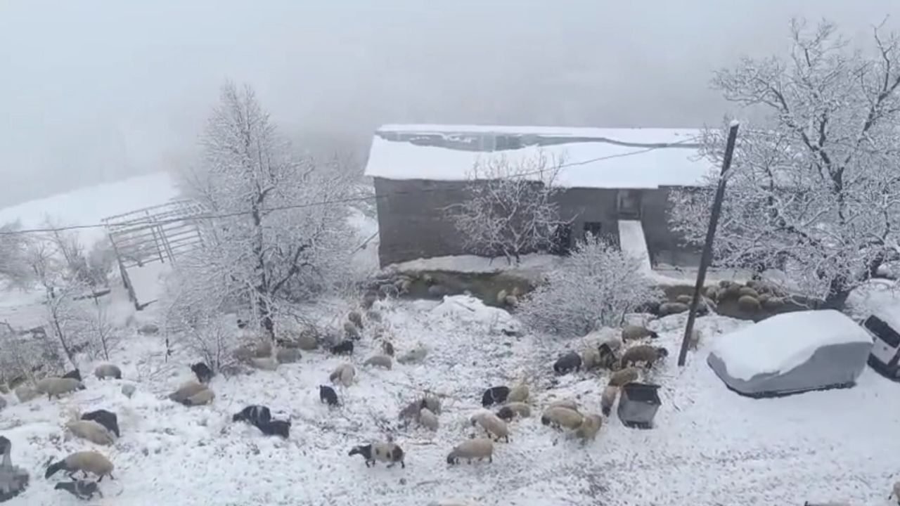 Van'ın Bahçesaray ilçesinde kar yağışı hayatı olumsuz etkiledi
