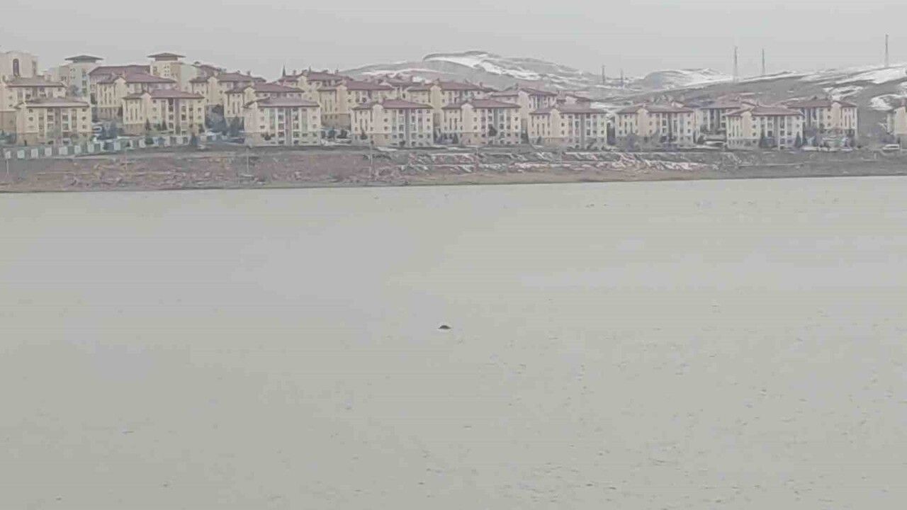 Van İpekyolu'nda Sıhke Göleti'ne Giren İnek Telef Oldu