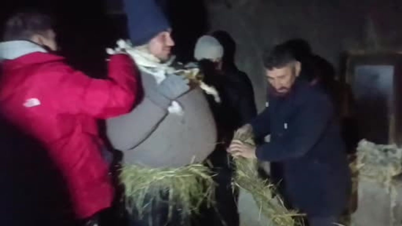 Van Saray Kekikdüzü'nde 'köse-gelin' geleneği yaşatılıyor