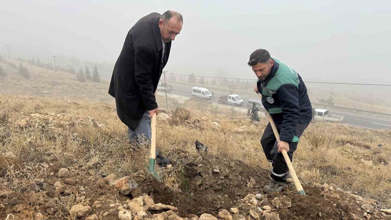 Yahyalı Ağcaşar Barajı'nda Yaklaşık Bin 200 Fidan Dikildi
