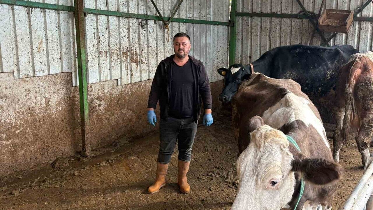Yenişehir'de şap hastalığı: Üretici Aytaç Afşar 180 bin liralık büyükbaşını kesime göndermek zorunda kaldı