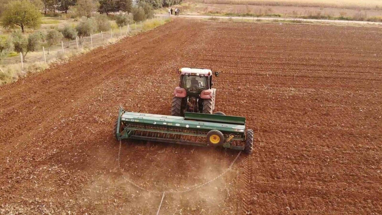 Yıldız Tarım, Mardin'de yerli tohum üretimini güçlendirip ihracat hedefini büyütüyor